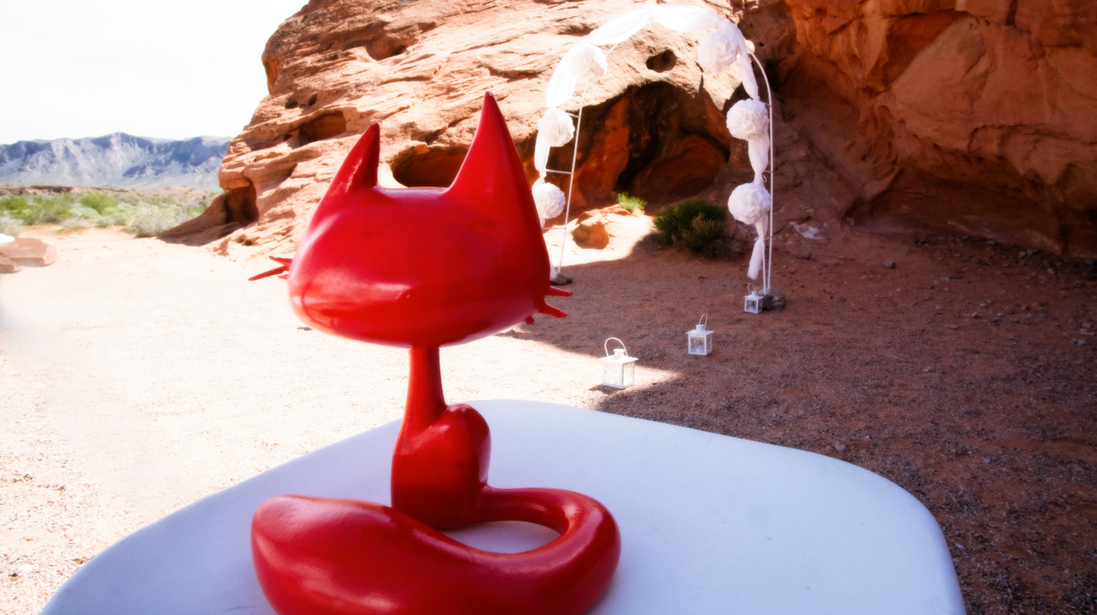 REDCAT 