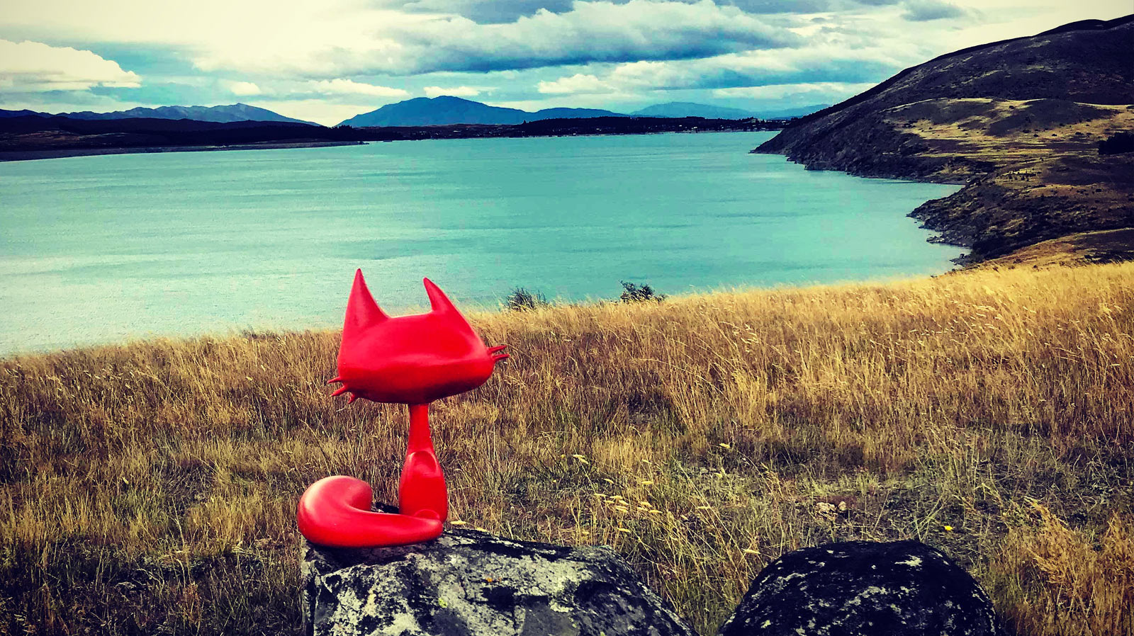 REDCAT Nouvelle-Zélande