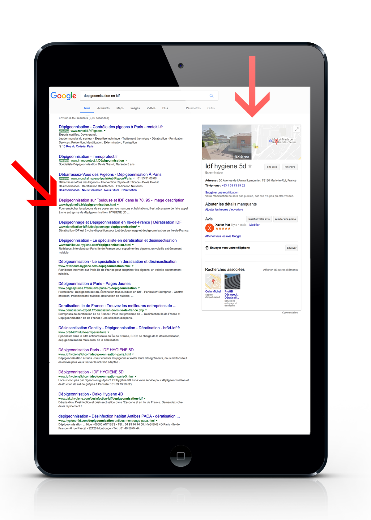 referencement deratisation sit web