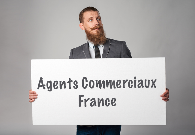 agents commerciaux web