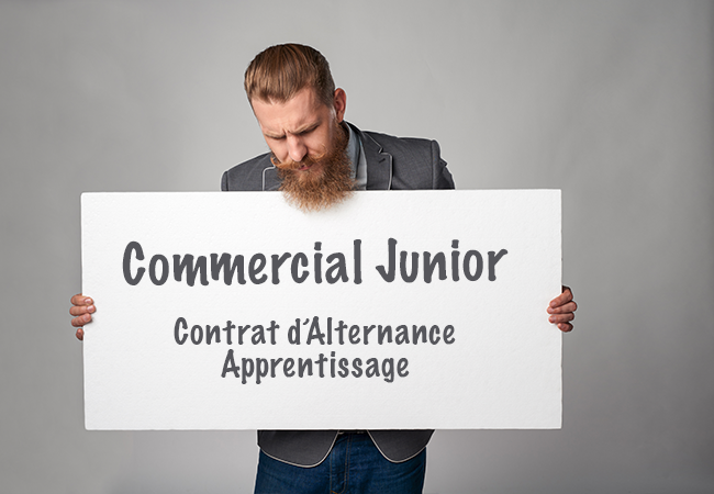 commercial junior annonce emploi