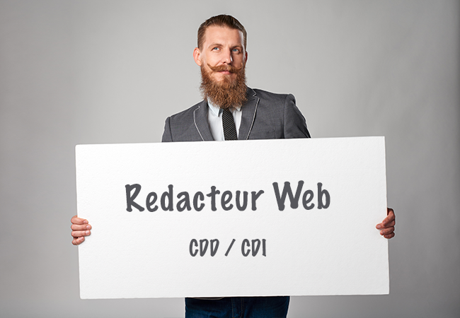 redacteur web annonce emploi